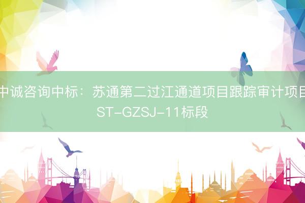 中诚咨询中标：苏通第二过江通道项目跟踪审计项目ST-GZSJ-11标段