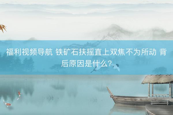 福利视频导航 铁矿石扶摇直上双焦不为所动 背后原因是什么？