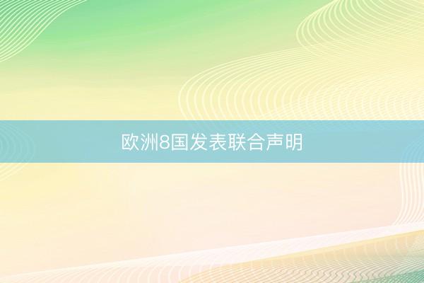 欧洲8国发表联合声明