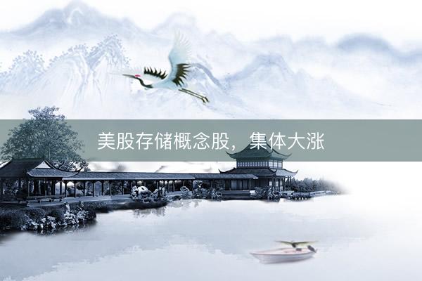 美股存储概念股，集体大涨