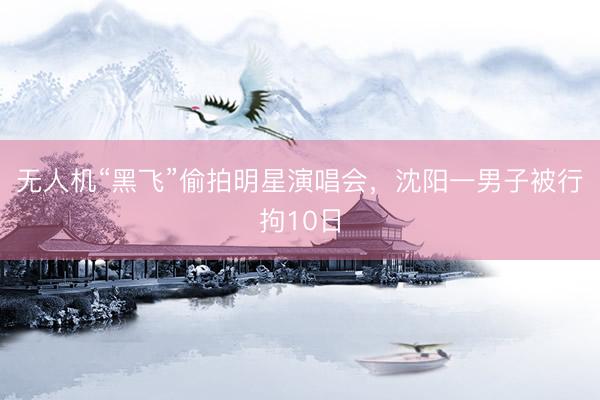 无人机“黑飞”偷拍明星演唱会，沈阳一男子被行拘10日