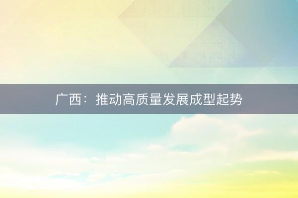 广西：推动高质量发展成型起势