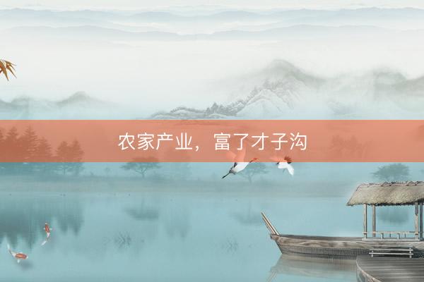 农家产业，富了才子沟