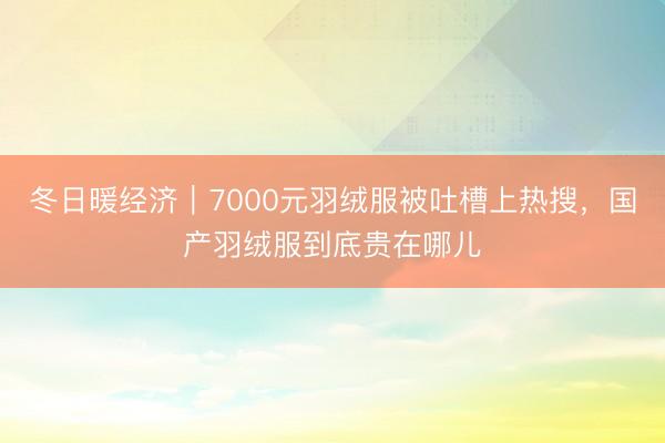 冬日暖经济｜7000元羽绒服被吐槽上热搜，国产羽绒服到底贵在哪儿