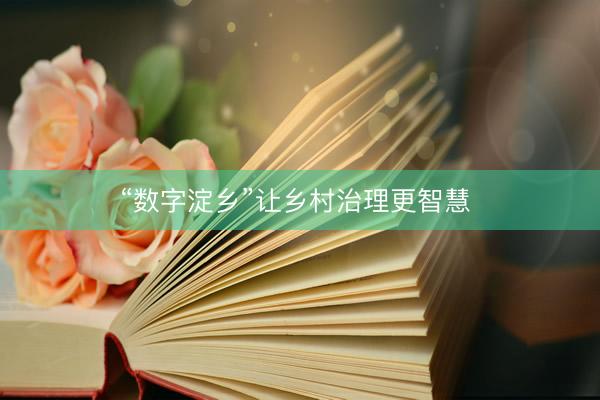 “数字淀乡”让乡村治理更智慧 
