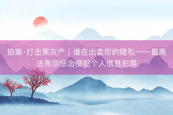 拍案·打击黑灰产丨谁在出卖你的隐私——最高法亮剑惩治侵犯个人信息犯罪