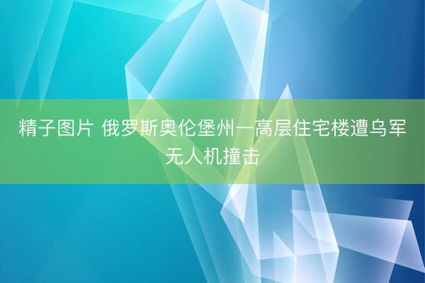 精子图片 俄罗斯奥伦堡州一高层住宅楼遭乌军无人机撞击