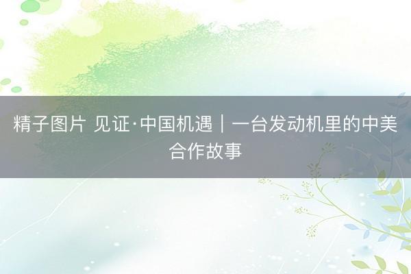 精子图片 见证·中国机遇｜一台发动机里的中美合作故事