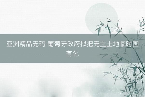 亚洲精品无码 葡萄牙政府拟把无主土地临时国有化