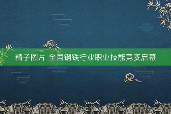 精子图片 全国钢铁行业职业技能竞赛启幕