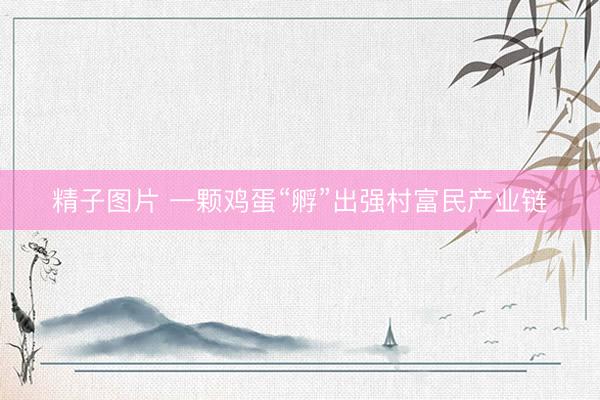 精子图片 一颗鸡蛋“孵”出强村富民产业链