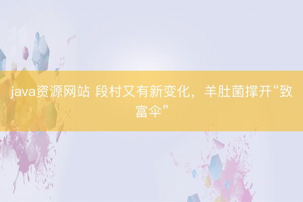 java资源网站 段村又有新变化，羊肚菌撑开“致富伞”