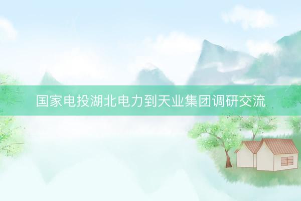 国家电投湖北电力到天业集团调研交流