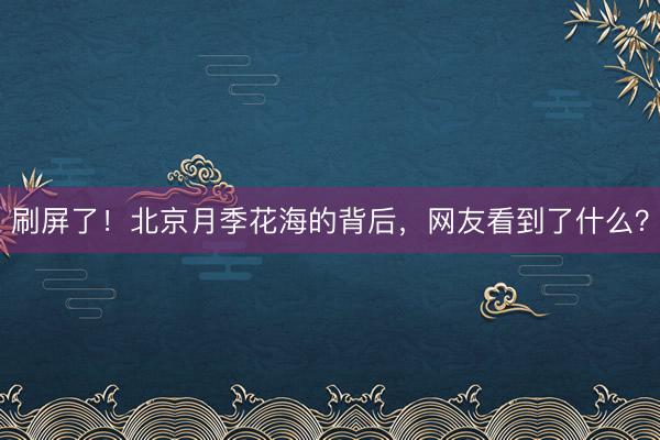 刷屏了！北京月季花海的背后，网友看到了什么？