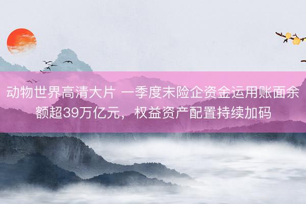 动物世界高清大片 一季度末险企资金运用账面余额超39万亿元，权益资产配置持续加码