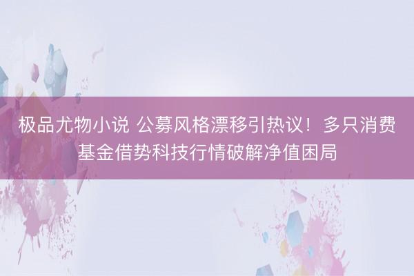 极品尤物小说 公募风格漂移引热议！多只消费基金借势科技行情破解净值困局