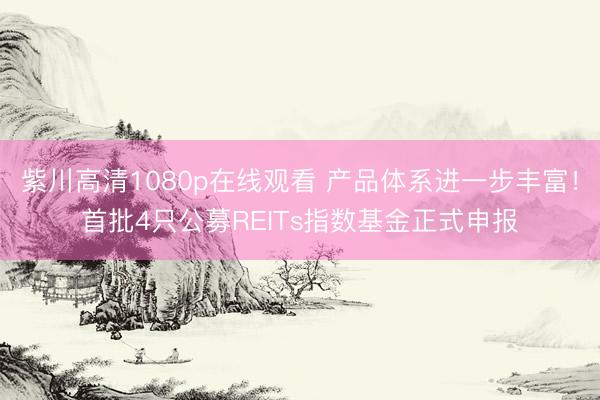 紫川高清1080p在线观看 产品体系进一步丰富！首批4只公募REITs指数基金正式申报