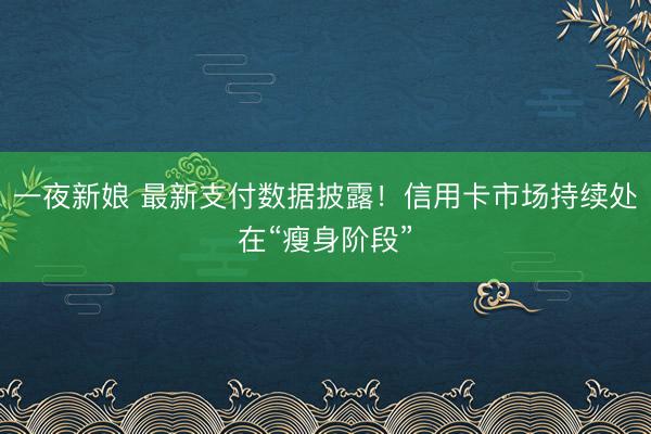 一夜新娘 最新支付数据披露！信用卡市场持续处在“瘦身阶段”