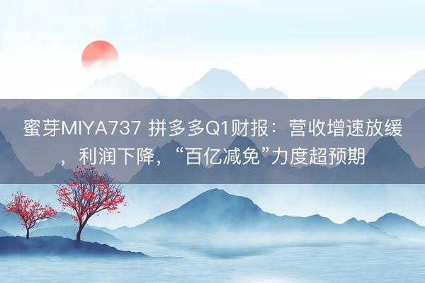 蜜芽MIYA737 拼多多Q1财报：营收增速放缓，利润下降，“百亿减免”力度超预期