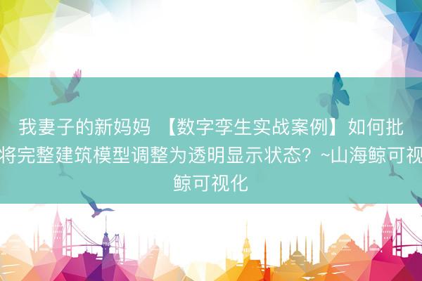 我妻子的新妈妈 【数字孪生实战案例】如何批量将完整建筑模型调整为透明显示状态？~山海鲸可视化