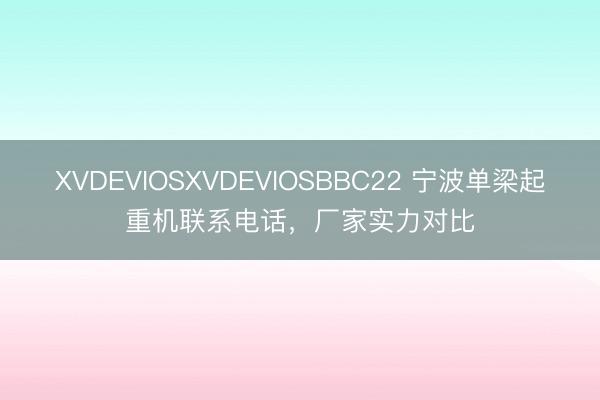 XVDEVIOSXVDEVIOSBBC22 宁波单梁起重机联系电话，厂家实力对比