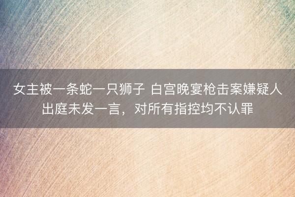 女主被一条蛇一只狮子 白宫晚宴枪击案嫌疑人出庭未发一言，对所有指控均不认罪
