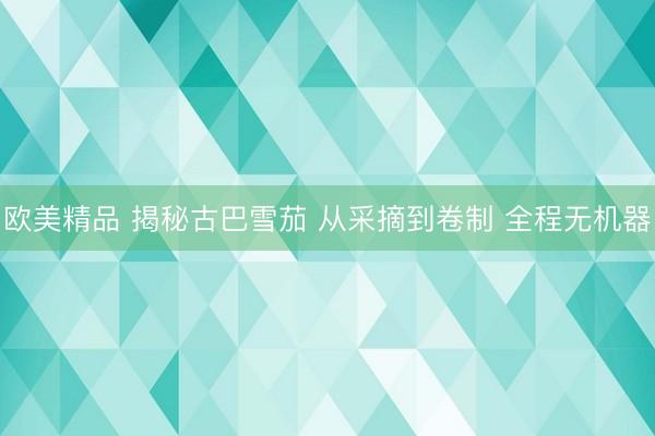 欧美精品 揭秘古巴雪茄 从采摘到卷制 全程无机器