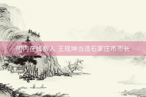 国内在线私人 王现坤当选石家庄市市长