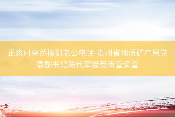 正爽时突然接到老公电话 贵州省地质矿产局党委副书记陈代军接受审查调查