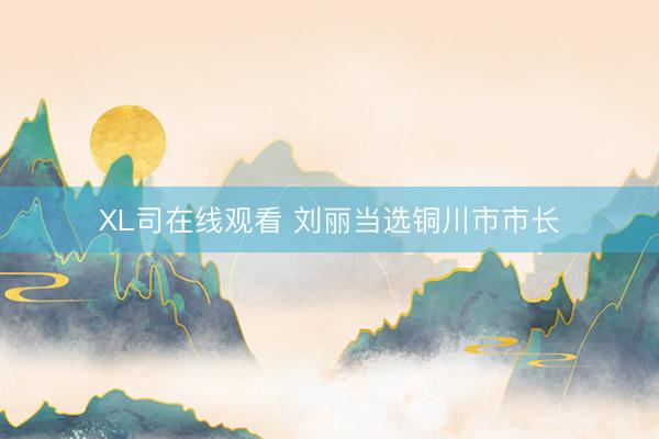 XL司在线观看 刘丽当选铜川市市长