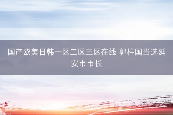 国产欧美日韩一区二区三区在线 郭柱国当选延安市市长