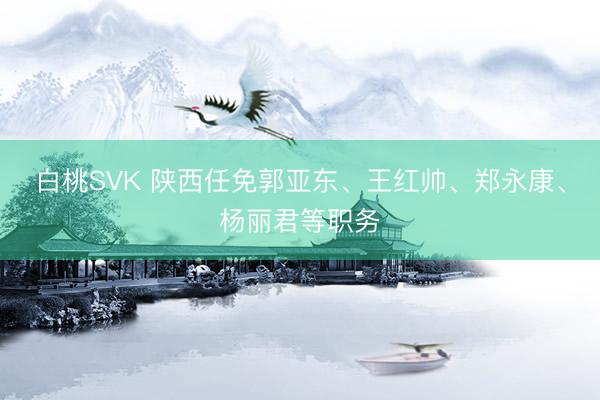 白桃SVK 陕西任免郭亚东、王红帅、郑永康、杨丽君等职务