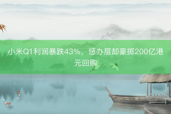 小米Q1利润暴跌43%，惩办层却豪掷200亿港元回购