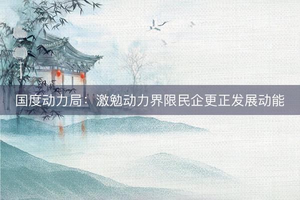 国度动力局：激勉动力界限民企更正发展动能
