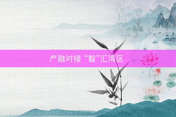产融对接 “智”汇湾区 