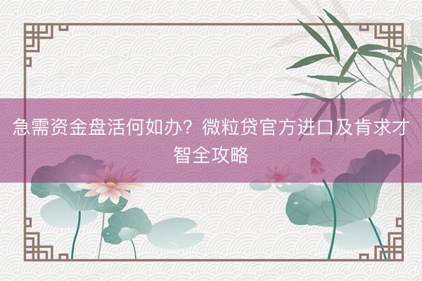 急需资金盘活何如办？微粒贷官方进口及肯求才智全攻略