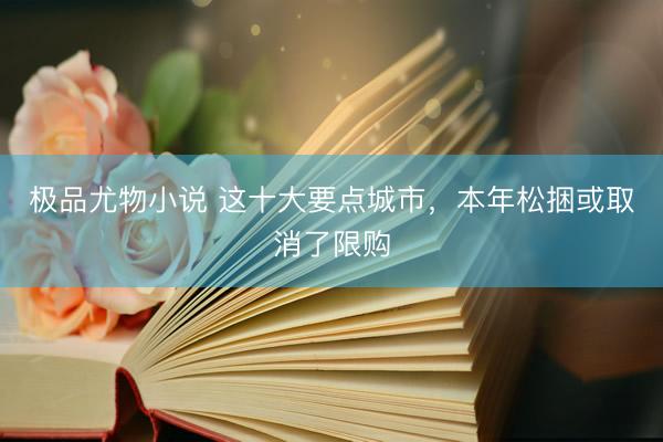 极品尤物小说 这十大要点城市，本年松捆或取消了限购
