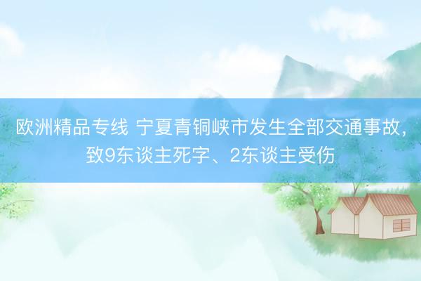 欧洲精品专线 宁夏青铜峡市发生全部交通事故，致9东谈主死字、2东谈主受伤