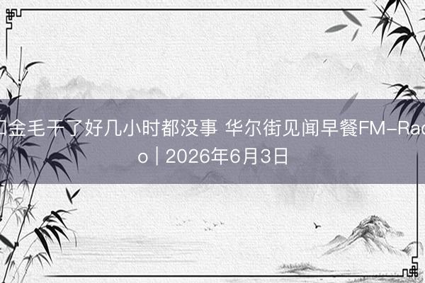 和金毛干了好几小时都没事 华尔街见闻早餐FM-Radio | 2026年6月3日