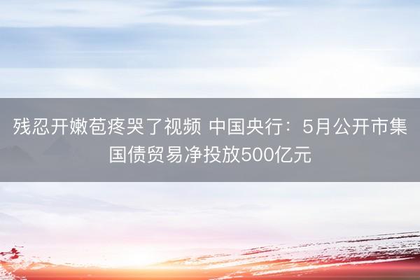 残忍开嫩苞疼哭了视频 中国央行：5月公开市集国债贸易净投放500亿元