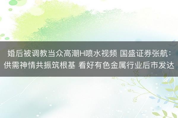 婚后被调教当众高潮H喷水视频 国盛证券张航：供需神情共振筑根基 看好有色金属行业后市发达