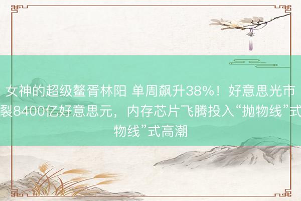 女神的超级鳌胥林阳 单周飙升38%！好意思光市值破裂8400亿好意思元，内存芯片飞腾投入“抛物线”式高潮