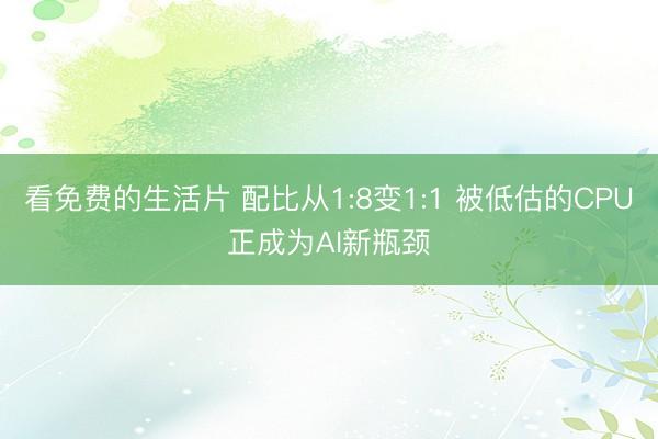看免费的生活片 配比从1:8变1:1 被低估的CPU正成为AI新瓶颈