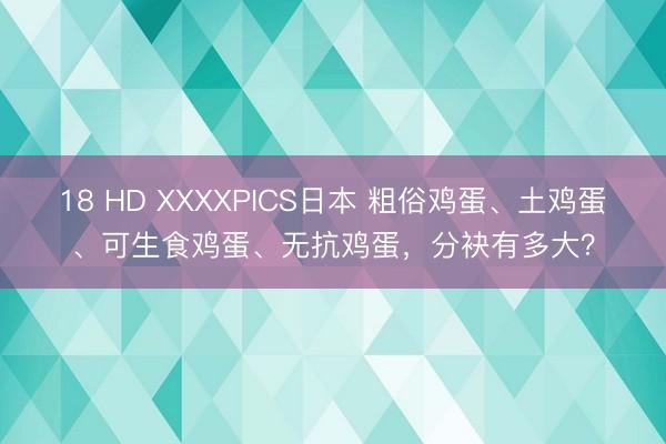 18 HD XXXXPICS日本 粗俗鸡蛋、土鸡蛋、可生食鸡蛋、无抗鸡蛋，分袂有多大？