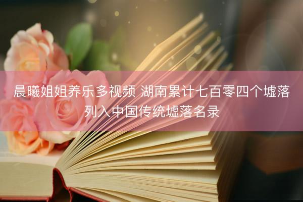 晨曦姐姐养乐多视频 湖南累计七百零四个墟落列入中国传统墟落名录