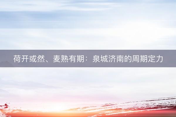 荷开或然、麦熟有期：泉城济南的周期定力