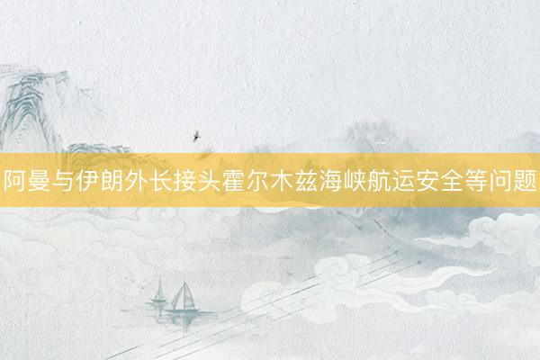阿曼与伊朗外长接头霍尔木兹海峡航运安全等问题