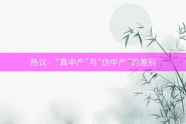 热议：“真中产”与“伪中产”的差别
